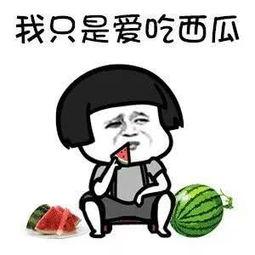 吃瓜娱乐多朵